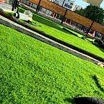 Yapay Çim Halı Uygulaması