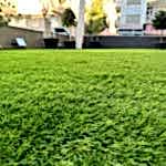 Yapay Çim Halı Uygulaması