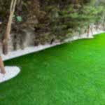 Yapay Çim Halı Uygulama Örnekleri