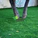 Yapay Çim Halı Uygulama Örnekleri