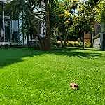 Yapay Çim Halı Uygulama Örnekleri